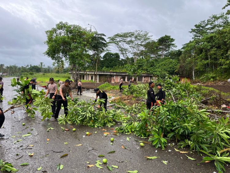 Personel Brimob, Basarnas, dan Taspen Gelar Kerja Bakti di Kepulauan Nias