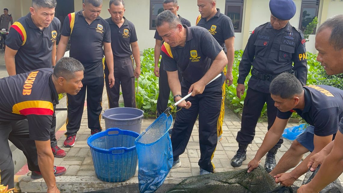 Brimob Sumut Panen Ikan Lele dan Sayur, Wujudkan Ketahanan Pangan Serta Pererat Soliditas Personel