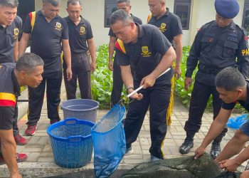 Brimob Sumut Panen Ikan Lele dan Sayur, Wujudkan Ketahanan Pangan Serta Pererat Soliditas Personel