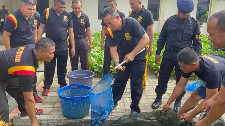 Brimob Sumut Panen Ikan Lele dan Sayur, Wujudkan Ketahanan Pangan Serta Pererat Soliditas Personel