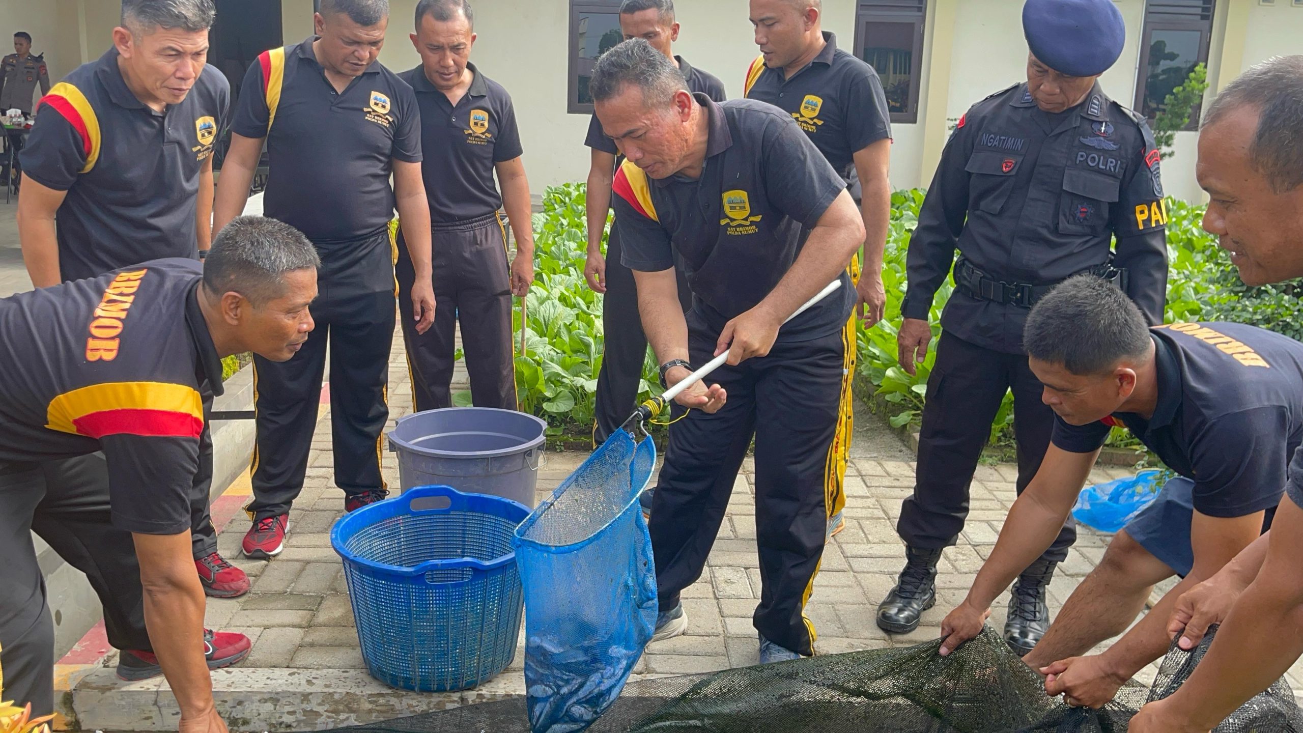 Brimob Sumut Panen Ikan Lele dan Sayur, Wujudkan Ketahanan Pangan Serta Pererat Soliditas Personel Brimob Sumut Panen Ikan Lele dan Sayur, Wujudkan Ketahanan Pangan Serta Pererat Soliditas Personel