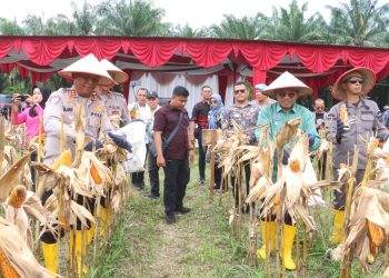 Kapolres Simalungun Ikut Panen Raya Jagung Serentak Kuartal II 2025, Dipimpin Presiden Prabowo