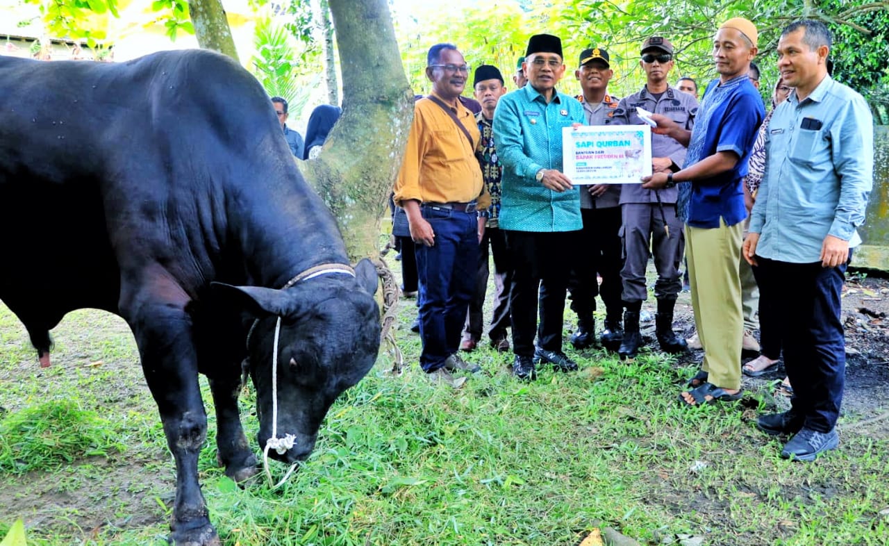 Bupati Simalungun Didampingi Kapolres Dan Kajari Serahkan Hewan Qurban Dari Presiden RI Bupati Simalungun Didampingi Kapolres Dan Kajari Serahkan Hewan Qurban Dari Presiden RI