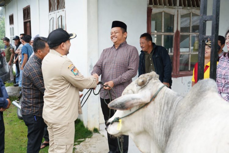 Bupati Pakpak Bharat Menyerahkan Hewan Qurban Gubernur Sumut ke Desa Penanggalan Binanga Boang