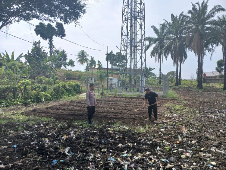 Manfaatkan Ladang Tanam Tanaman  Bergizi, Polsek Siantar Martoba Sambangi Warga