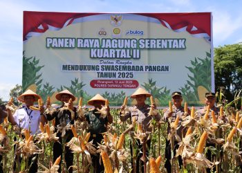 Waka Polres Tapteng Pimpin Langsung Panen Jagung Di Pinangsori