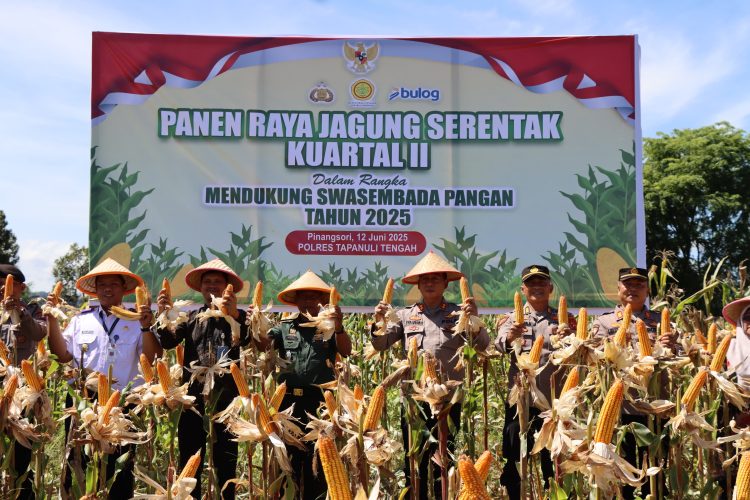 Waka Polres Tapteng Pimpin Langsung Panen Jagung Di Pinangsori
