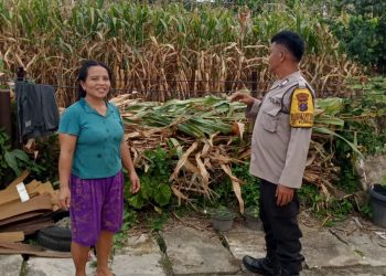 Polsek Siantar Marihat Sambangi Warga yang Manfaatkan Lahan Dalam Mendukung Ketahanan Pangan
