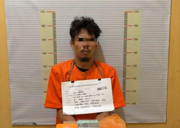 Seorang Pria Asal Sarudik Dibekuk Polres Tapteng, Sabu 11 Paket Disita