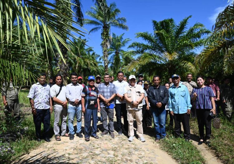 Gubernur Sumut Setujui 15 Ha Hibah Tanah Untuk Pembangunan Sekolah Rakyat dan RSUD Di Tapteng