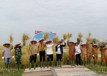 Bupati dan Wakil Bupati Kabupaten Simalungun Hadiri Acara Panen Raya Padi di Tanah Jawa