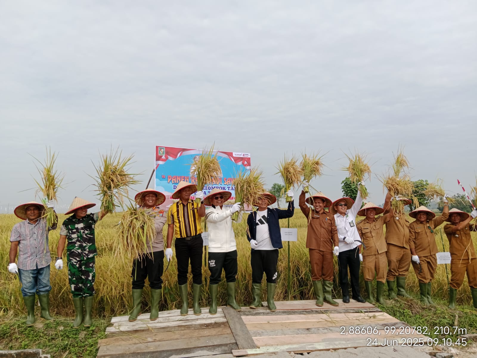 Bupati dan Wakil Bupati Kabupaten Simalungun Hadiri Acara Panen Raya Padi di Tanah Jawa