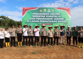 Polres Tapanuli Tengah Gelar Penanaman Jagung Serentak Kuartal III di Lahan Perhutanan Sosial