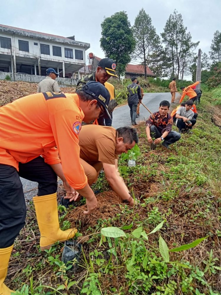Penanaman Pohon Untuk Cegah Bencana dan Lestarikan Lingkungan di BPBD Kabupaten Pakpak Bharat