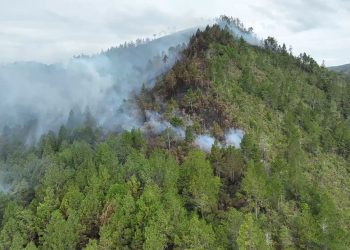 Kebakaran Hutan Dan Lahan Lebih Dari 100 Hektar di Toba, BPBD Sumut Bakal Siaga Sepekan