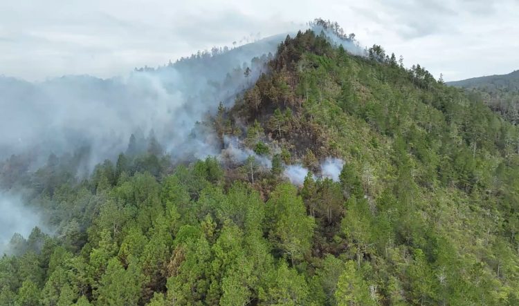 Kebakaran Hutan Dan Lahan Lebih Dari 100 Hektar di Toba, BPBD Sumut Bakal Siaga Sepekan