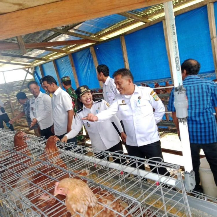 BUMDesa Rebbak Nduma Meluncurkan Unit Usaha Baru Dibidang Usaha Peternakan Ayam Petelur