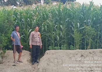 Sambangi Petani Jagung, Polsek Siantar Timur Dukung Ketahanan Pangan 