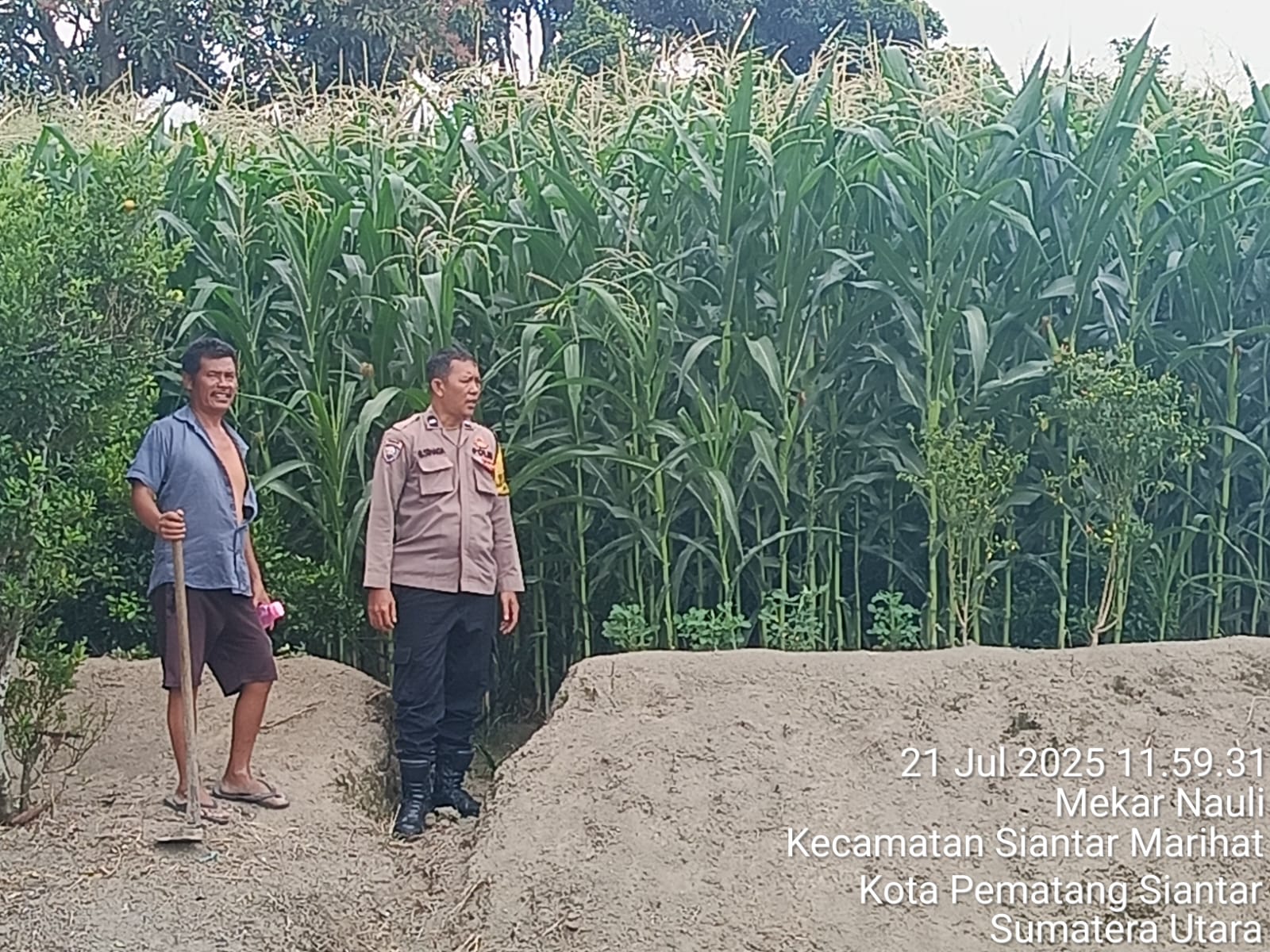 Sambangi Petani Jagung, Polsek Siantar Timur Dukung Ketahanan Pangan 