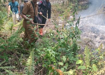 Satuan Brimob Yon C Pelopor Polda Sumut Tanggap Darurat Kebakaran Hutan Dan Lahan Di Padang Lawas