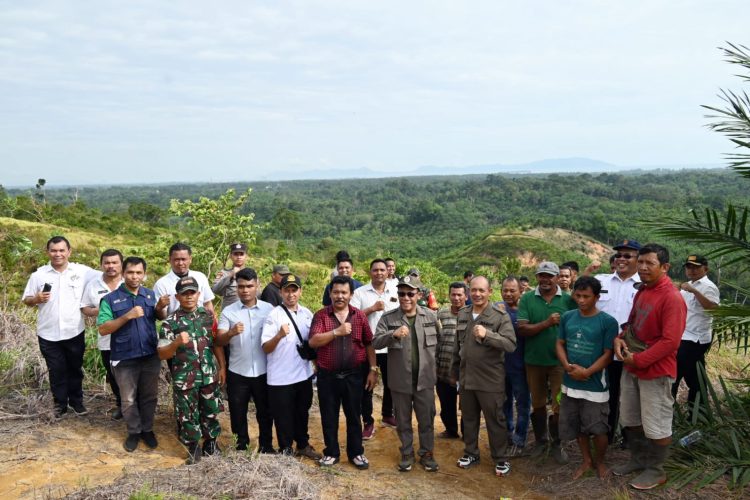 Bupati Tapteng Hentikan Penanaman Sawit Di Kawasan Hutan Produksi Terbatas