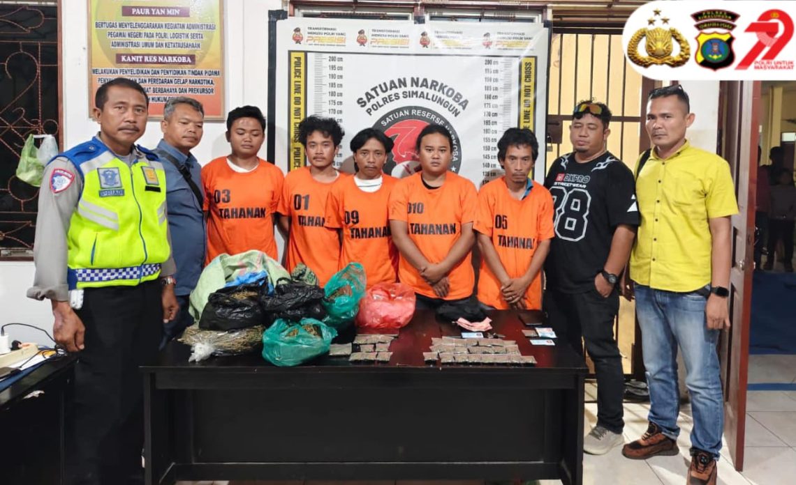 Polres Simalungun Tumpas Jaringan Narkoba di Danau Toba, 5 Tersangka dan 2,5 Kg Ganja Diamankan