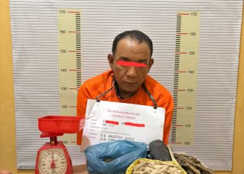 Pengedar Ganja Diringkus dari Desa Aek Horsik, Tim Opsnal Sat Narkoba Tapteng Sita Ratusan Paket Siap Edar 