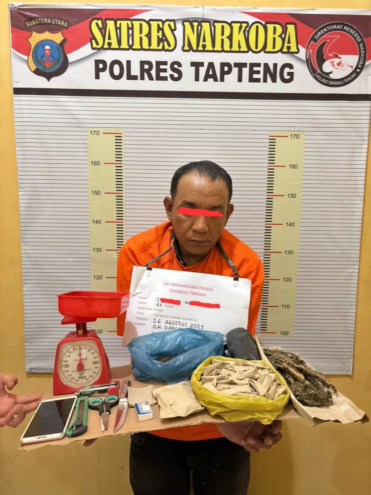 Pengedar Ganja Diringkus dari Desa Aek Horsik, Tim Opsnal Sat Narkoba Tapteng Sita Ratusan Paket Siap Edar Pengedar Ganja Diringkus dari Desa Aek Horsik, Tim Opsnal Sat Narkoba Tapteng Sita Ratusan Paket Siap Edar