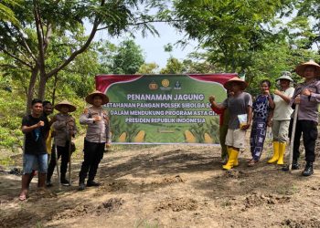 Polsek Sibolga Sambas Menanam Jagung Untuk Ketahanan Pangan