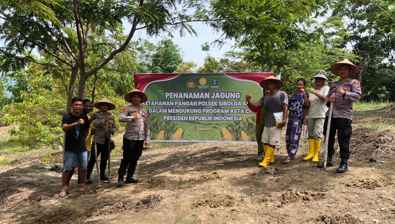 Polsek Sibolga Sambas Menanam Jagung Untuk Ketahanan Pangan