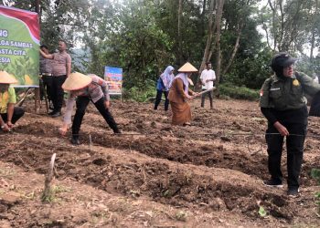 Kapolsek Sibolga Sambas Dan Instansi Terkait, Tanam Jagung Perkuat Ketahanan Pangan Nasional