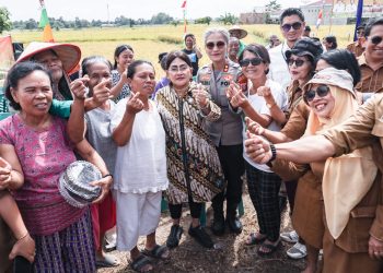 Wali Kota Wesly Silalahi Bersama Ny Liswati dan Forkopimda Panen Padi di Dusun Matio Nagahuta Timur, Guna Mencapai Swasembada Pangan