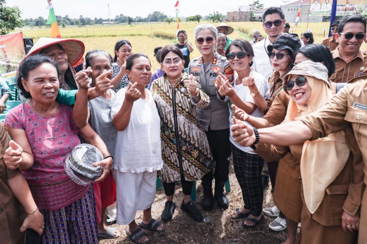Wali Kota Wesly Silalahi Bersama Ny Liswati dan Forkopimda Panen Padi di Dusun Matio Nagahuta Timur, Guna Mencapai Swasembada Pangan