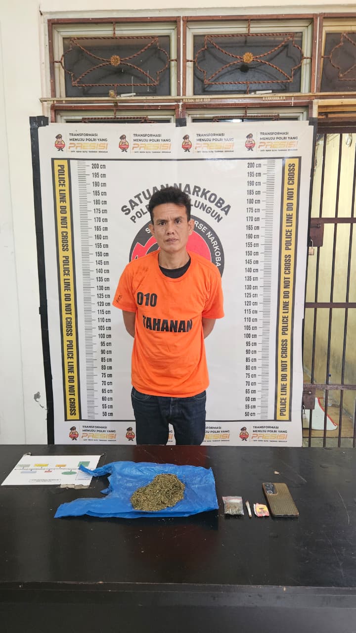 Satnarkoba Polres Simalungun Ringkus Bandar Narkoba dengan Temuan 159 Gram Sabu-Ganja