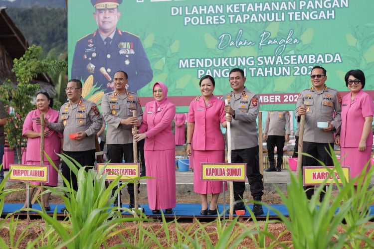 Dukung Ketahanan Pangan Nasional, Kapolda Sumut Tanam Jagung di Tapteng