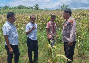 Dukung Ketapang, Kapolsek Siantar Marihat Tatap Muka dengan Masyarakat