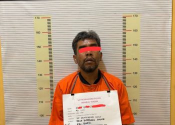 Sita 2,74 Gram Sabu, Sat Narkoba Polres Tapteng Kembali Bekuk Residivis Asal Barus