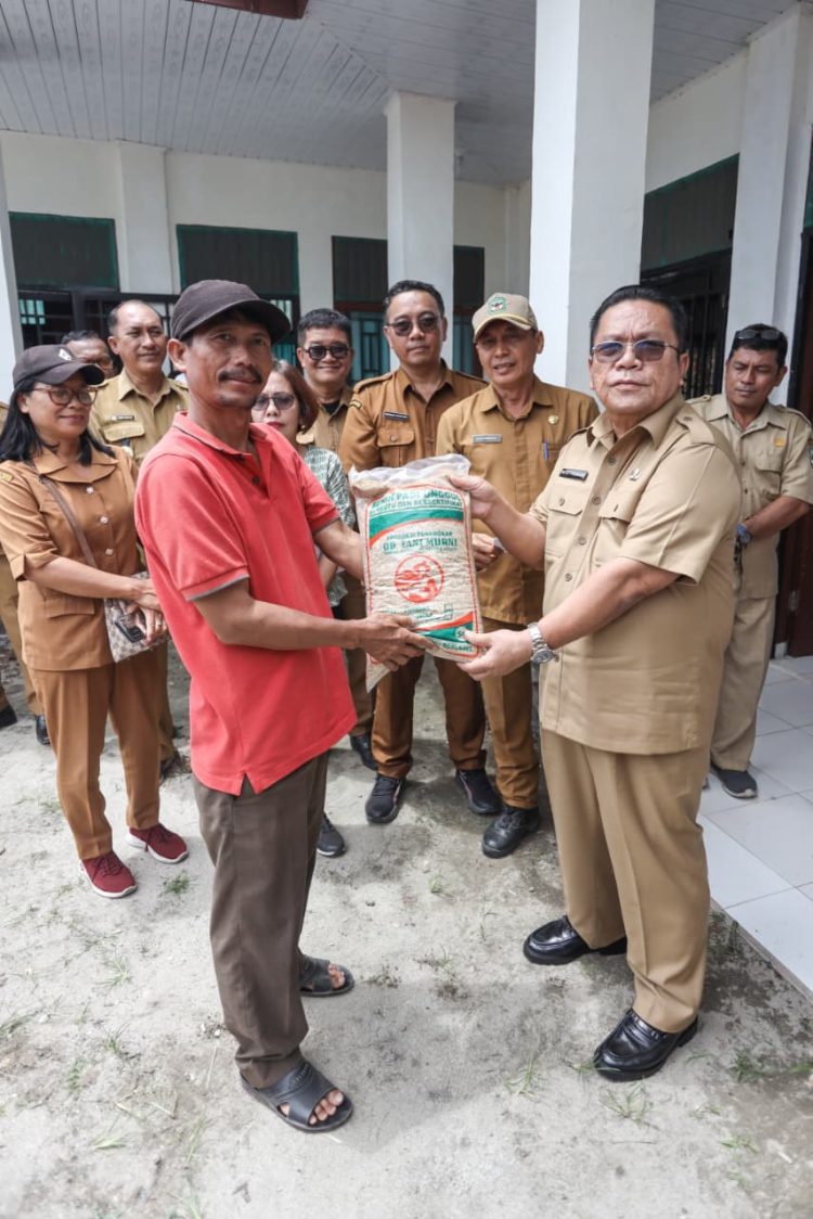 Wali Kota Wesly Silalahi Berikan Bantuan Benih Padi Unggul Kepada Kelompok Tani di Kecamatan Siantar Marimbun dan Siantar Martoba 