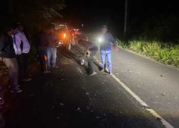 Truck Colt Diesel Hantam Pengendara Motor, 3 Kakak Beradik Asal Taput Tewas