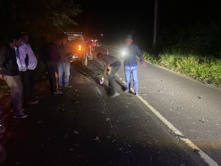 Truck Colt Diesel Hantam Pengendara Motor, 3 Kakak Beradik Asal Taput Tewas