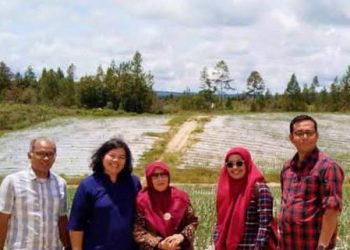 Kadis Ketahanan Pangan Tapteng Dampingi Direktur Stabilitasi Pasokan dan Harga Pangan Nasional Kunjungi Peternak Layer Dan Food Estate