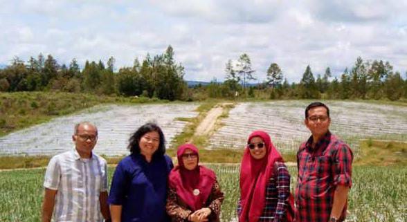 Kadis Ketahanan Pangan Tapteng Dampingi Direktur Stabilitasi Pasokan dan Harga Pangan Nasional Kunjungi Peternak Layer Dan Food Estate