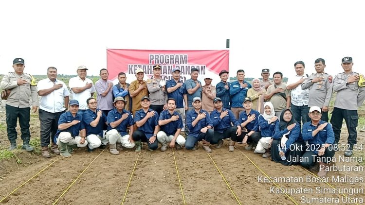 Polsek Bosar Maligas Dukung Program Ketahanan Pangan Jagung, Implementasi Visi Indonesia Emas 2045 Polsek Bosar Maligas Dukung Program Ketahanan Pangan Jagung, Implementasi Visi Indonesia Emas 2045