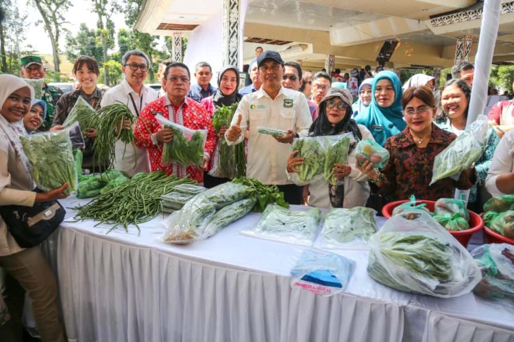 Cabai Merah Sumbang Inflasi di Kota Pematangsiantar, YoY Kedua Tertinggi di Sumut Cabai Merah Sumbang Inflasi di Kota Pematangsiantar, YoY Kedua Tertinggi di Sumut