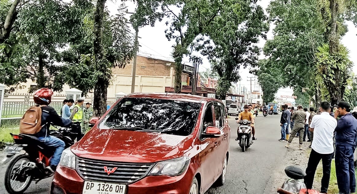 Forkopimca Siantar dan Instansi Terkait Tertibkan Pohon Rawan Tumbang di Jalur Vital Kecamatan Siantar
