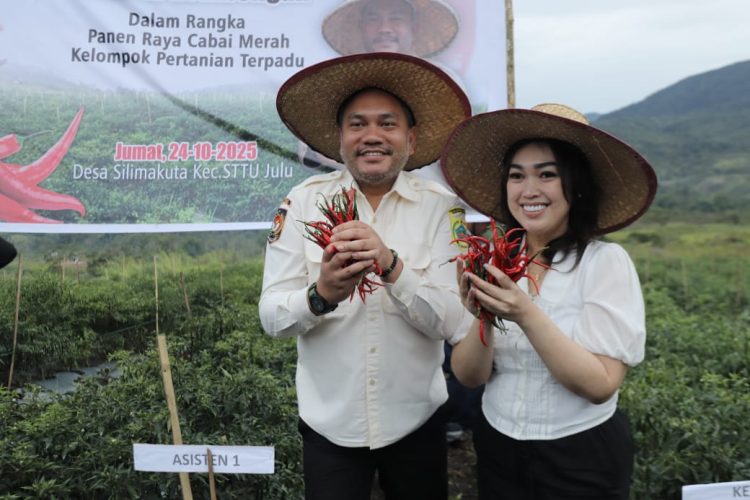 Bupati Pakpak Bharat Hadiri Panen Raya Cabai Merah Serentak di KPT Desa Silima Kuta