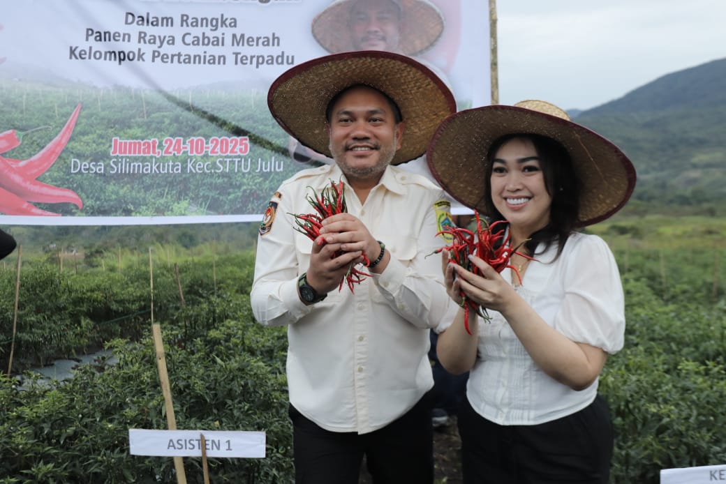 Bupati Pakpak Bharat Hadiri Panen Raya Cabai Merah Serentak di KPT Desa Silima Kuta