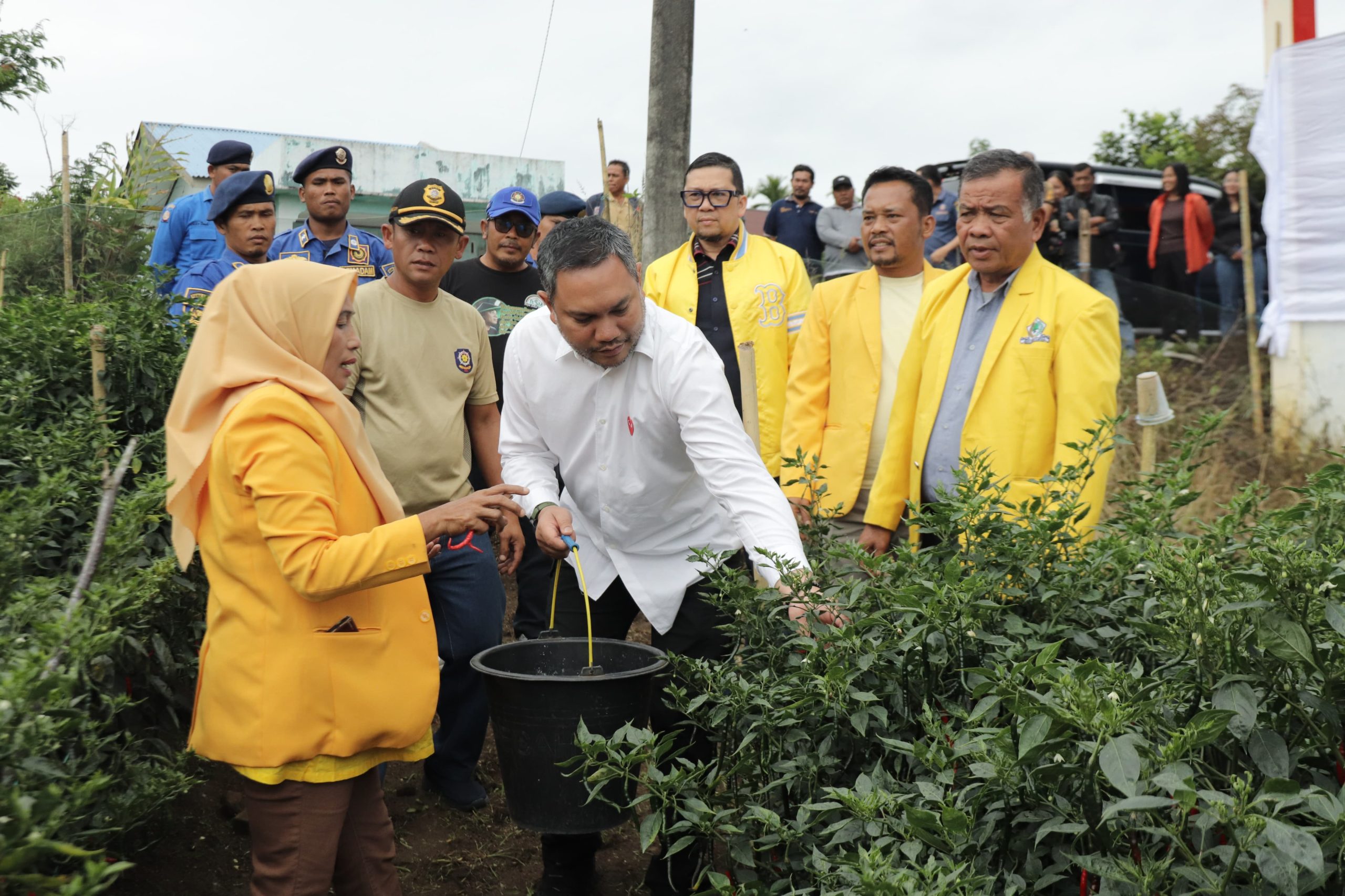 Bupati Pakpak Bharat Petik Cabai Pemanfaatan Lahan Pekarangan Satpol PP 