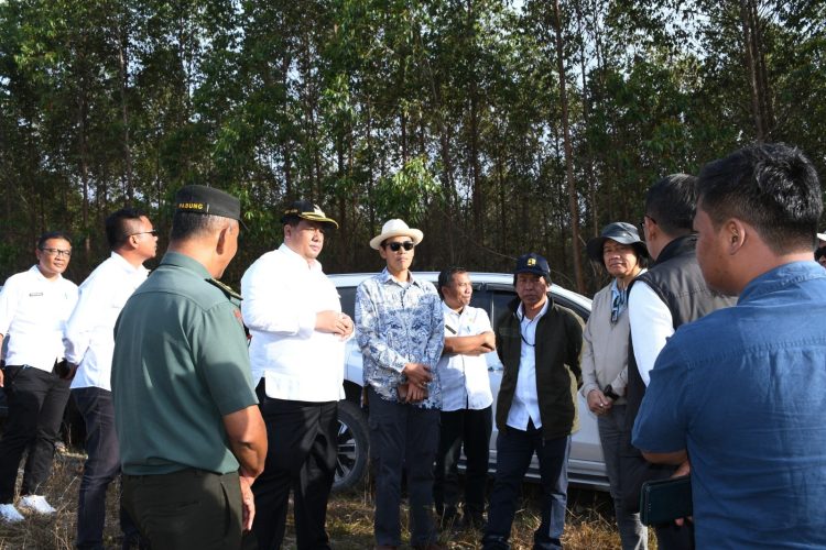 Bupati Samosir Bersama Dewan Ekonomi Nasional, Direktur PT. JCO Tinjau Lahan Investasi Kawasan Pertanian Terpadu Bupati Samosir Bersama Dewan Ekonomi Nasional, Direktur PT. JCO Tinjau Lahan Investasi Kawasan Pertanian Terpadu