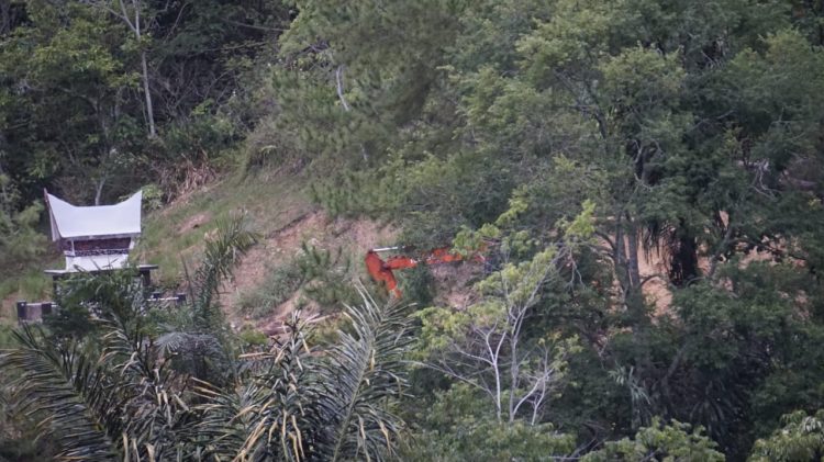 Pemerhati Lingkungan Johan Pangaribuan Sorot Tajam atas Aktivitas Penebangan Pinus di Dusun II Desa Pagar Batu Balige Pemerhati Lingkungan Johan Pangaribuan Sorot Tajam atas Aktivitas Penebangan Pinus di Dusun II Desa Pagar Batu Balige